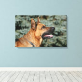 German Shepherd Headshot 1 Canvas Afdruk (Insitu (Houten vloer))