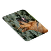 German Shepherd Headshot 1 Magneet (Rechterzijde)
