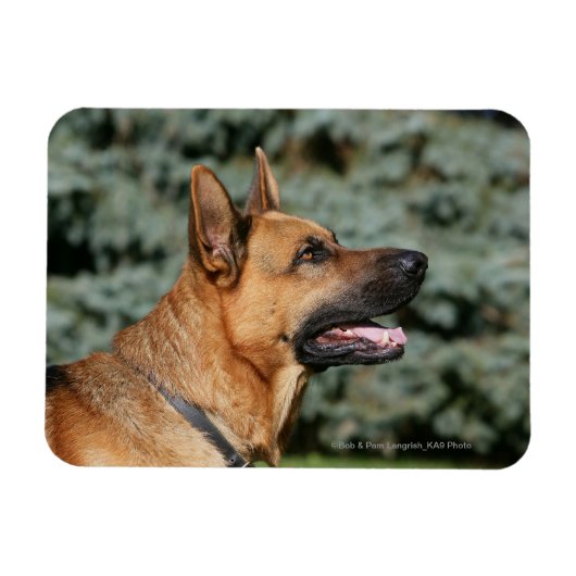 German Shepherd Headshot 1 Magneet (Horizontaal)