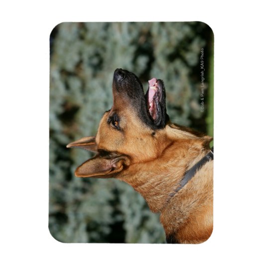 German Shepherd Headshot 1 Magneet (Verticaal)