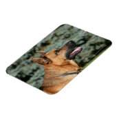 German Shepherd Headshot 1 Magneet (Linkerzijde)