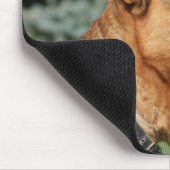 German Shepherd Headshot 1 Muismat (Hoek)