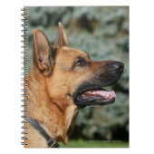 German Shepherd Headshot 1 Notitieboek (Voorkant)