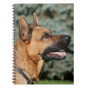 German Shepherd Headshot 1 Notitieboek