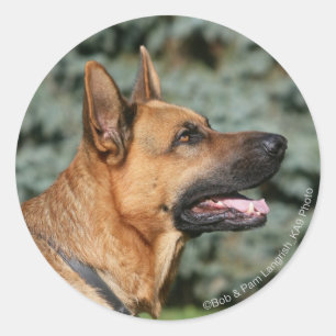 German Shepherd Headshot 1 Ronde Sticker