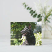 German Shepherd Headshot 2 Briefkaart (Staand voorkant)