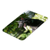 German Shepherd Headshot 2 Magneet (Linkerzijde)