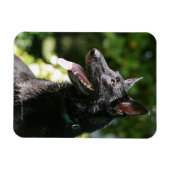 German Shepherd Headshot 2 Magneet (Horizontaal)