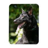 German Shepherd Headshot 2 Magneet (Verticaal)