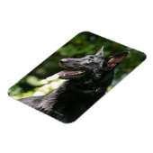 German Shepherd Headshot 2 Magneet (Linkerzijde)
