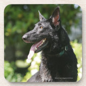 German Shepherd Headshot 2 Onderzetter (Voorkant)