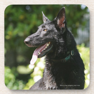German Shepherd Headshot 2 Onderzetter