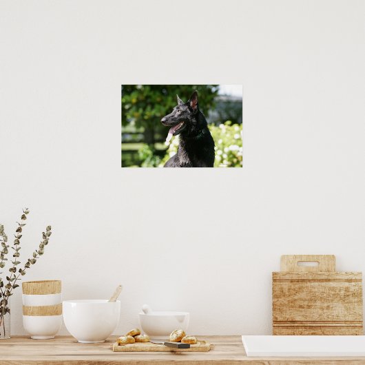 German Shepherd Headshot 2 Poster (Keuken)