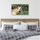 German Shepherd Headshot 3 Canvas Afdruk (Insitu (Slaapkamer))