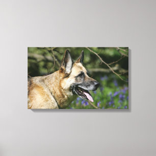 German Shepherd Headshot 3 Canvas Afdruk