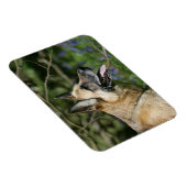 German Shepherd Headshot 3 Magneet (Rechterzijde)