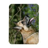 German Shepherd Headshot 3 Magneet (Verticaal)