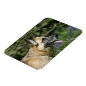 German Shepherd Headshot 3 Magneet (Linkerzijde)