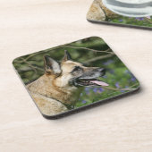German Shepherd Headshot 3 Onderzetter (Linkerzijde)