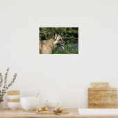 German Shepherd Headshot 3 Poster (Keuken)