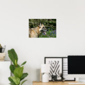 German Shepherd Headshot 3 Poster (Thuiskantoor)