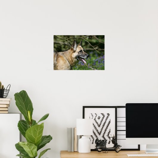 German Shepherd Headshot 3 Poster (Thuiskantoor)