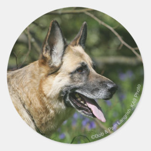 German Shepherd Headshot 3 Ronde Sticker