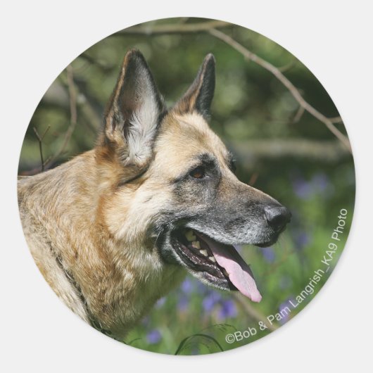 German Shepherd Headshot 3 Ronde Sticker (Voorkant)