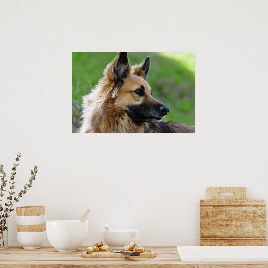 German Shepherd Headshot Poster (Keuken)