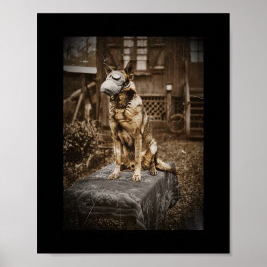 German Shepherd in Gas Mask Poster (Voorkant)