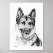 German Shepherd in Graphite Print (Voorkant)