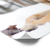 German Shepherd In Snow Poster (Hoek)