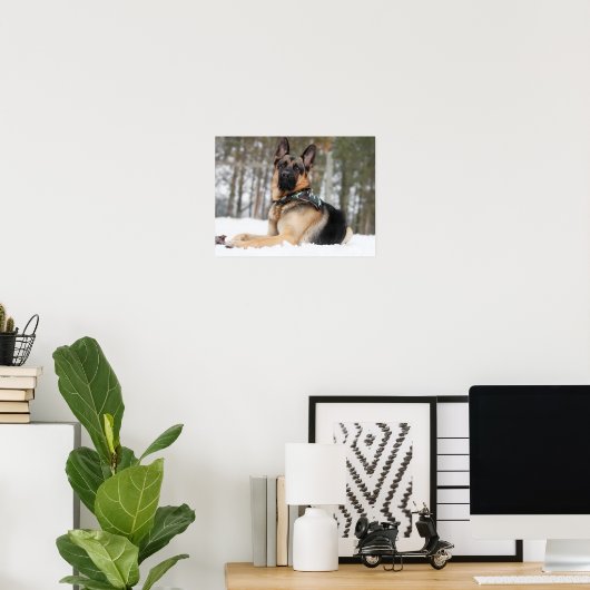 German Shepherd In Snow Poster (Thuiskantoor)