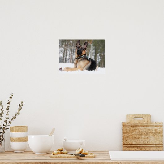 German Shepherd In Snow Poster (Keuken)