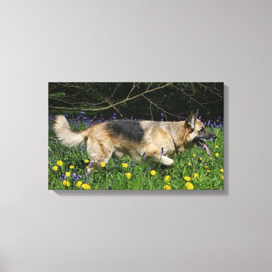 German Shepherd in Yellow Flowers Canvas Afdruk (Voorkant)