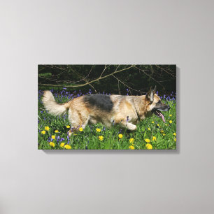 German Shepherd in Yellow Flowers Canvas Afdruk