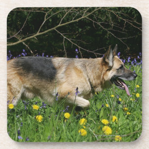 German Shepherd in Yellow Flowers Drankjes Onderzetter