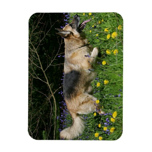 German Shepherd in Yellow Flowers Magneet (Verticaal)