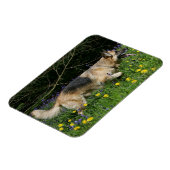 German Shepherd in Yellow Flowers Magneet (Linkerzijde)