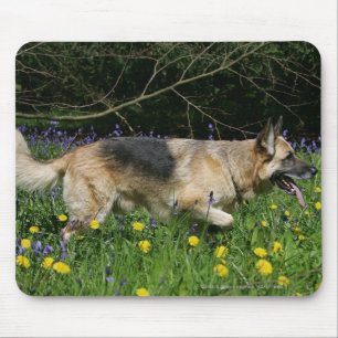German Shepherd in Yellow Flowers Muismat