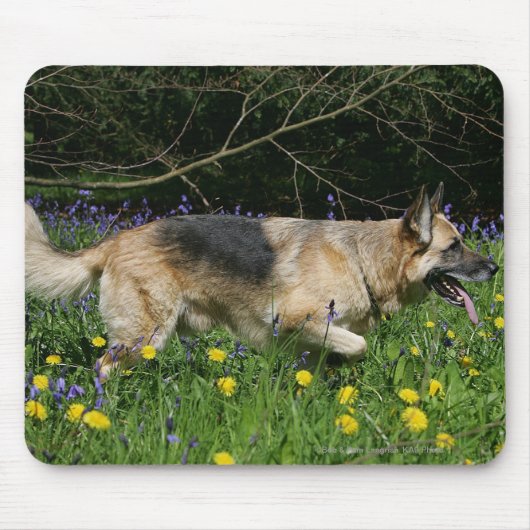 German Shepherd in Yellow Flowers Muismat (Voorkant)