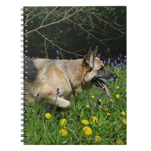 German Shepherd in Yellow Flowers Notitieboek (Voorkant)
