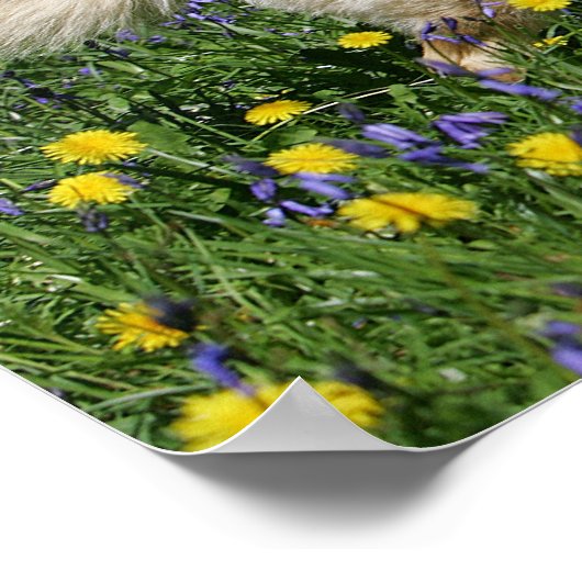 German Shepherd in Yellow Flowers Poster (Hoek)