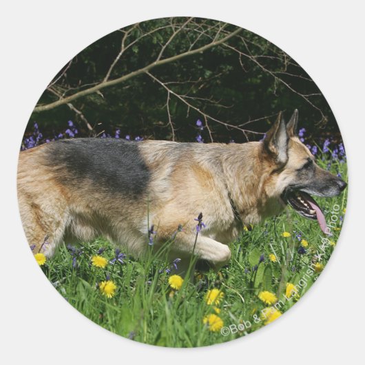 German Shepherd in Yellow Flowers Ronde Sticker (Voorkant)