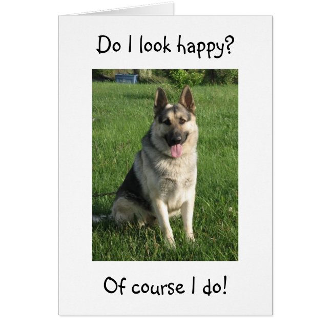 GERMAN SHEPHERD IS ZO HAPPY U R "40" NIET HEM (Voorkant)