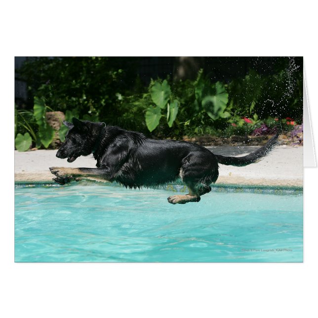 German Shepherd Jumping in Water (Voorkant Horizontaal)
