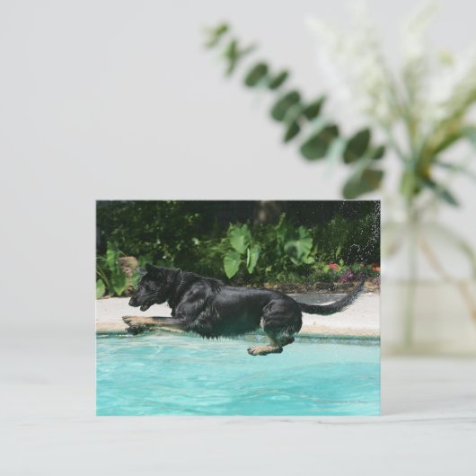 German Shepherd Jumping in Water Briefkaart (Staand voorkant)