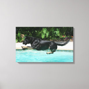 German Shepherd Jumping in Water Canvas Afdruk