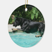 German Shepherd Jumping in Water Keramisch Ornament (Links)