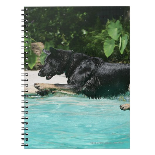 German Shepherd Jumping in Water Notitieboek (Voorkant)